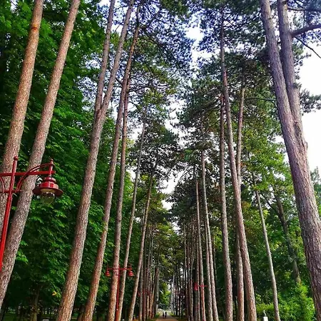 Lili Διαμέρισμα *